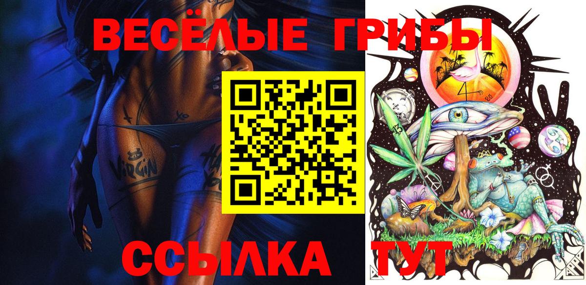 Галлюциногенные грибы ЛСД  Галлюциногенные грибы Psilocybine cubensis  где найти наркотики  Вход с VPN  Новоалтайск 
