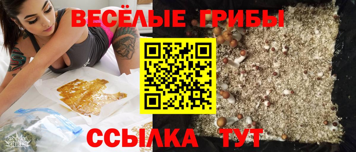 Псилоцибиновые грибы GOLDEN TEACHER Новоалтайск